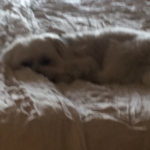 Meet your Posher, Debra